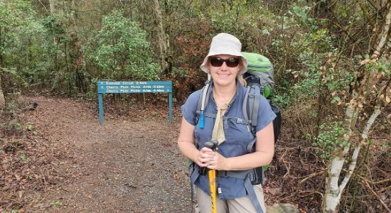 Joy at a junction on a hiking trail in the Bunya Mountains